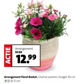 Intratuin Arrangement Floral Basket. aanbieding