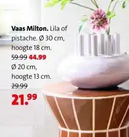 Intratuin Vaas Milton. aanbieding