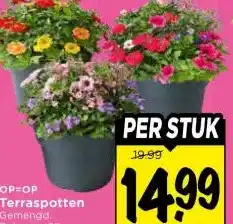 Vomar Voordeelmarkt Terraspotten aanbieding