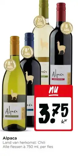 Jumbo Alpaca aanbieding