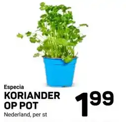 Ekoplaza Especia KORIANDER OP POT aanbieding