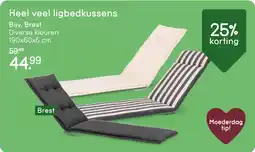 Leen Bakker Heel veel ligbedkussens, bijv. Brest aanbieding