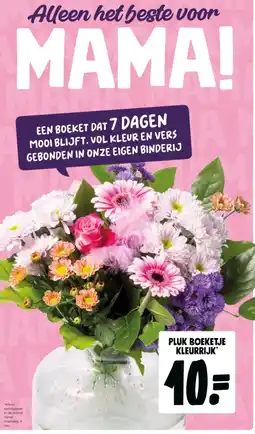 Jumbo Pluk boeketje kleurrijk aanbieding