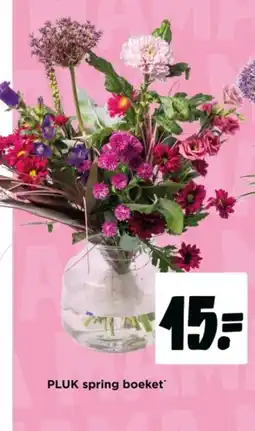 Jumbo Pluk spring boeket aanbieding