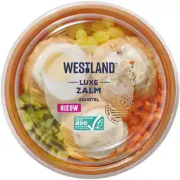 Albert Heijn Westland Luxe zalm schotel aanbieding