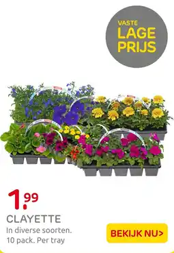 Praxis Clayette aanbieding