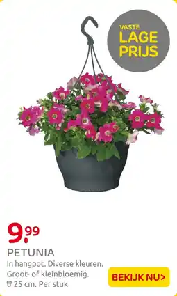Praxis Petunia aanbieding