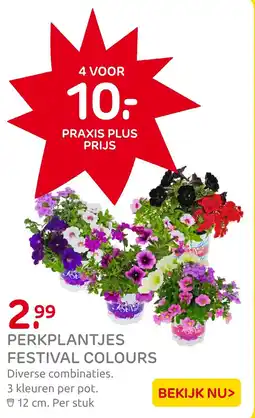 Praxis Perkplantjes festival colours aanbieding