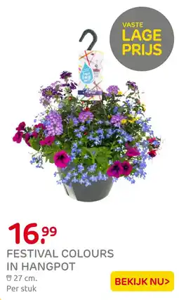 Praxis Festival colours in hangpot aanbieding