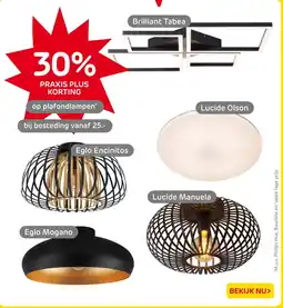 Praxis Plafondlampen aanbieding