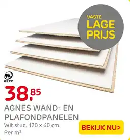 Praxis Agnes wand en plafondpanelen aanbieding