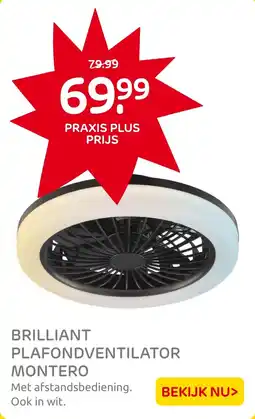 Praxis Brilliant plafondventilator montero aanbieding