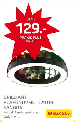 Praxis Brilliant plafondventilator fanora aanbieding