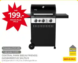 Praxis Central Park BBQ & Friends Gasbarbecue Salta/2 aanbieding