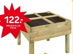 Praxis Forest Style Moestuinbak aanbieding