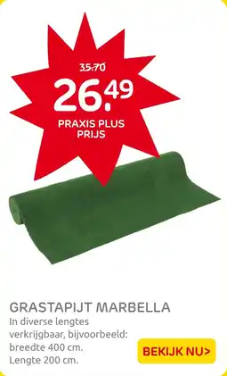Praxis Grastapijt Marbella aanbieding