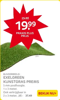 Praxis Exelgran Kunstgras Prems aanbieding