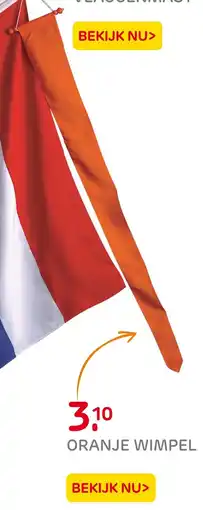 Praxis Oranje Wimpel aanbieding