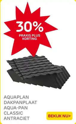 Praxis Aquaplan Dakpanplaat Aqua Pan Classic Antraciet aanbieding