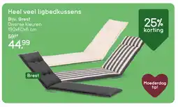 Leen Bakker Bekijk heel veel ligbedkussens [link] aanbieding