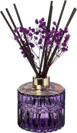 Intratuin Intratuin geurstokjes Luci Vanilla Musk paars 200 ml aanbieding