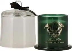 Intratuin Intratuin geurkaars Luxe Frozen Pear groen 30 uur D 9,5 H 13 cm aanbieding