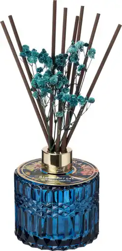 Intratuin Intratuin geurstokjes Luci Black Forest blauw 200 ml aanbieding