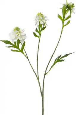 Intratuin Intratuin kunstbloem Duifkruid wit H 65 cm aanbieding