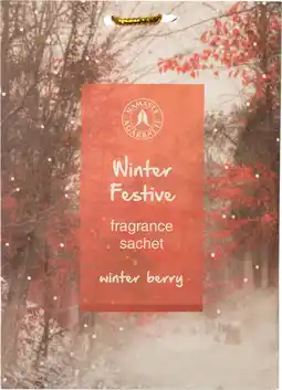 Intratuin Intratuin geurzakje Winter Festive winterbes aanbieding