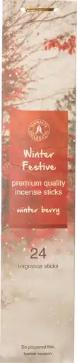 Intratuin Intratuin geurstokjes Winter Festive winterbes 24 stuks aanbieding