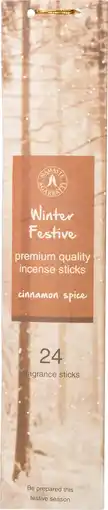 Intratuin Intratuin geurstokjes Winter Festive kaneel 24 stuks aanbieding