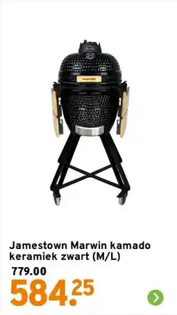 GAMMA Jamestown Marwin kamado keramiek zwart (M/L) aanbieding