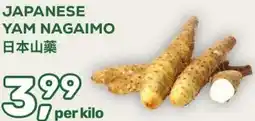 Amazing Oriëntal JAPANESE YAM NAGAIMO aanbieding