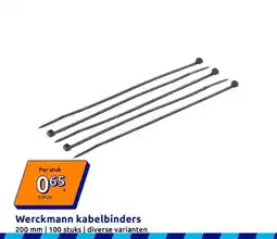 Action Werckmann kabelbinders aanbieding