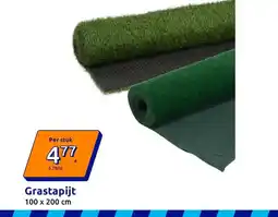 Action Grastapijt aanbieding