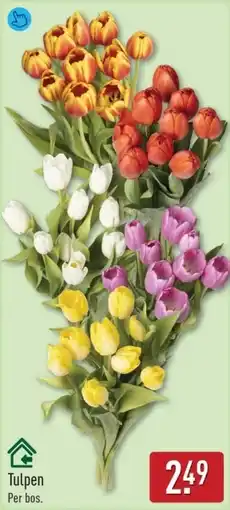 ALDI Tulpen aanbieding