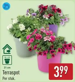 ALDI Terraspot aanbieding