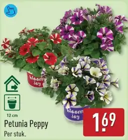 ALDI Petunia Peppy aanbieding