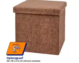 Action Opbergpoef aanbieding