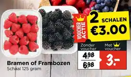 Vomar Voordeelmarkt Bramen of Frambozen aanbieding