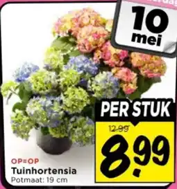 Vomar Voordeelmarkt Tuinhortensia aanbieding