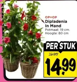 Vomar Voordeelmarkt Dipladenia In Mand aanbieding