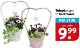 Hoogvliet Tuinplanten in hartmand aanbieding