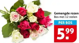 Hoogvliet Gemengde rozen aanbieding