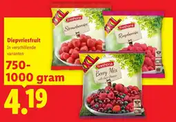 Lidl Diepvriesfruit aanbieding