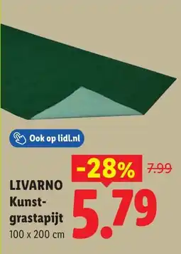 Lidl Livarno kunst grastapijt aanbieding