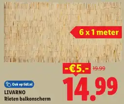 Lidl Livarno rieten balkonscherm aanbieding