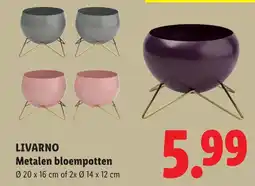Lidl Livarno metalen bloempotten aanbieding