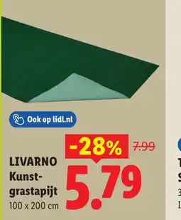 Lidl Livarno kunst- grastapijt aanbieding