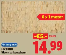 Lidl Livarno rieten balkonscherm aanbieding